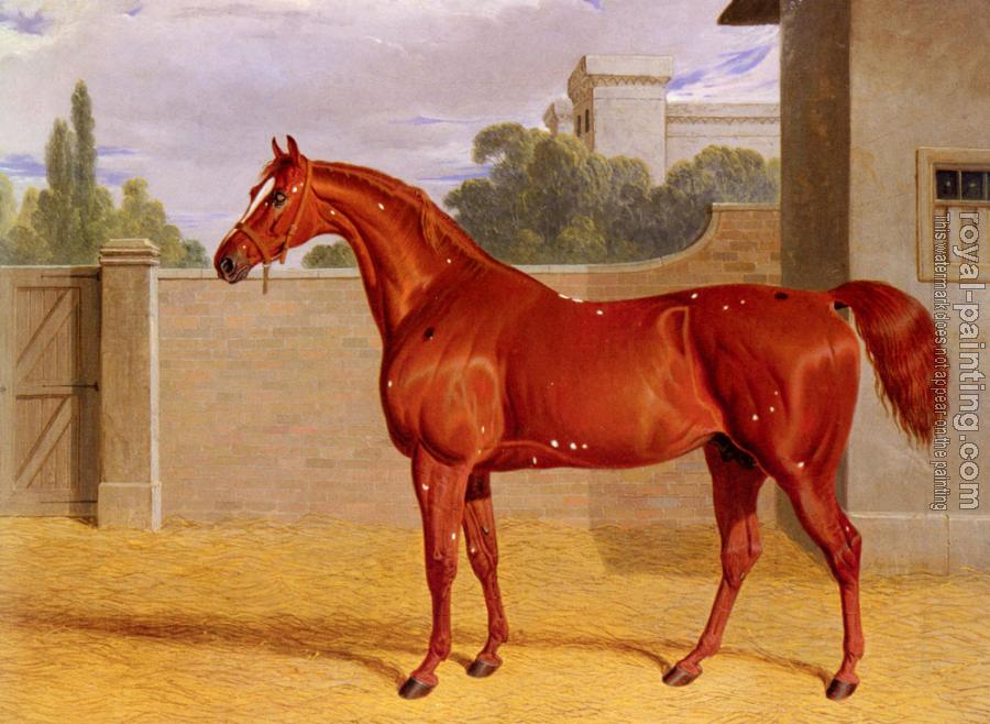 John Frederick Jr Herring : Comus, A Chestnut Racehorse in a Stable Yard